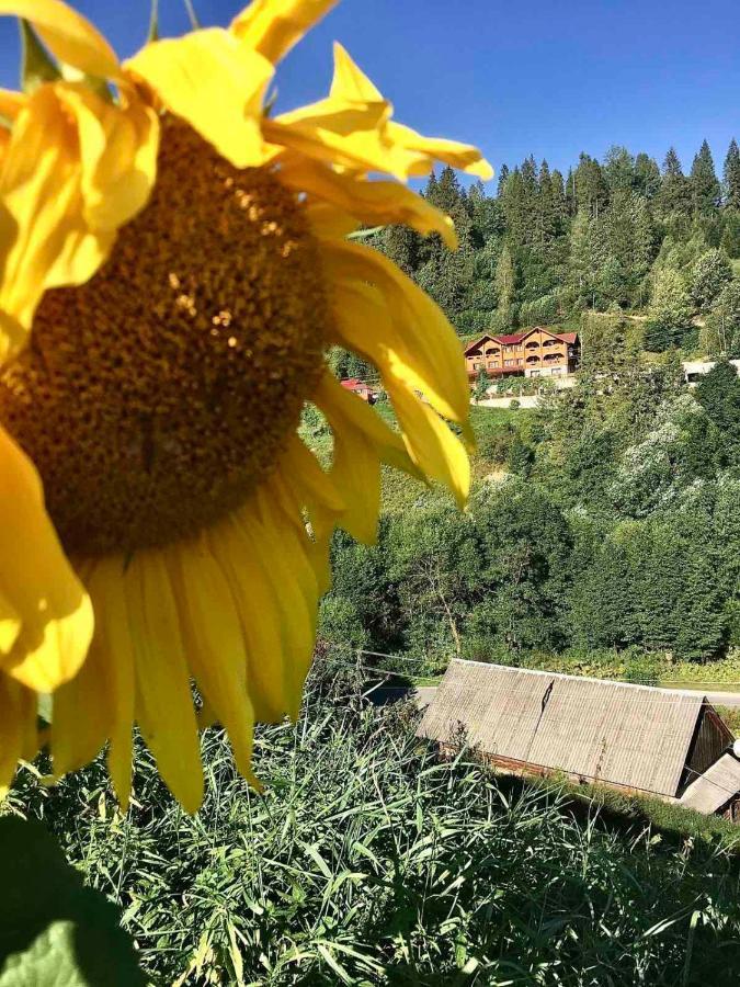 Privatna Sadiba Chalet Oryavchyk Bagian luar foto