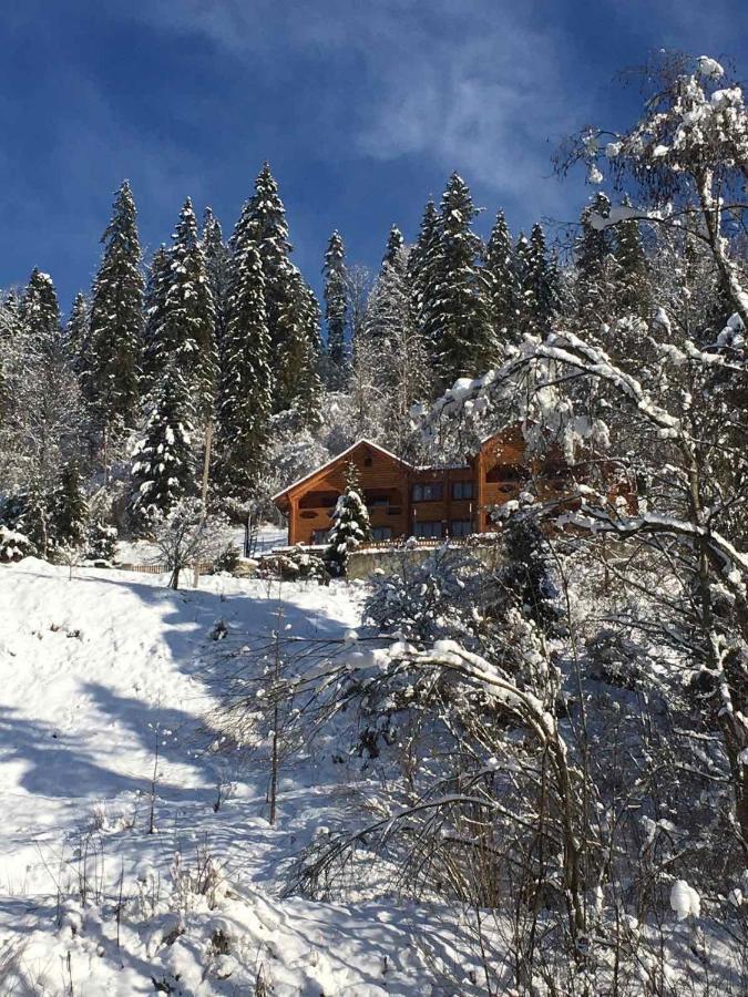 Privatna Sadiba Chalet Oryavchyk Bagian luar foto