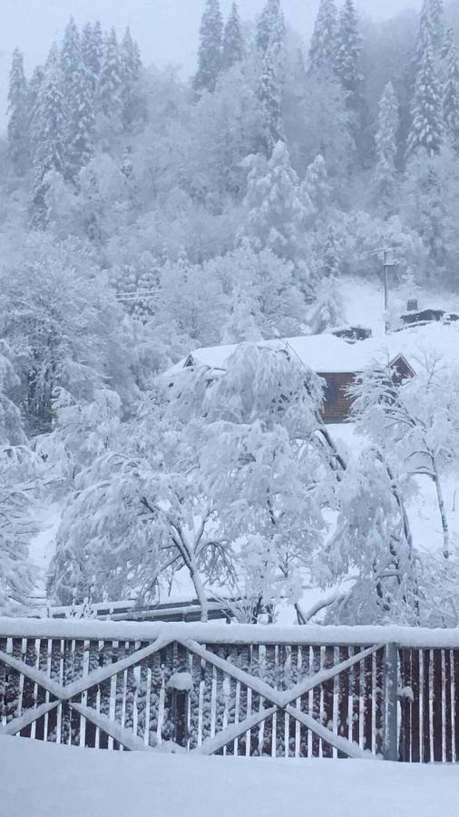 Privatna Sadiba Chalet Oryavchyk Bagian luar foto